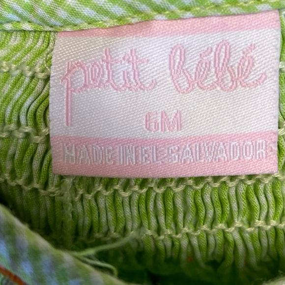 EUC PETIT BEBE GREEN GINGHAM DRESS WITH SMOCKED PUMPKINS - Picture 5 of 5